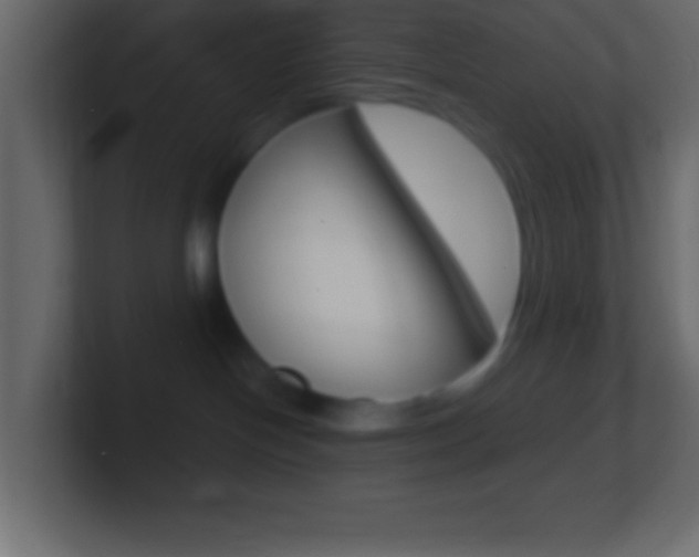 X0000101440094200807071036