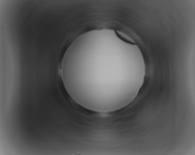 X0000101440095200807071036