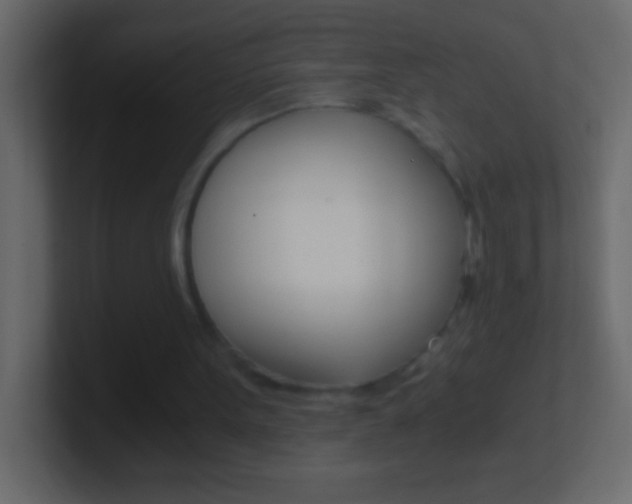 X0000101440099200807071035