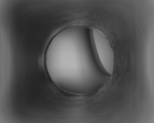 X0000101440100200807071035
