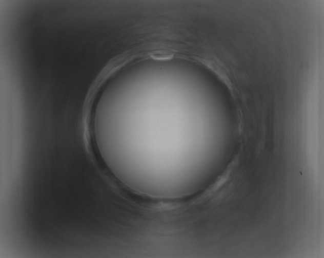X0000101440101200807071035