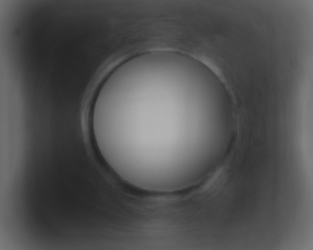 X0000101440103200807071035