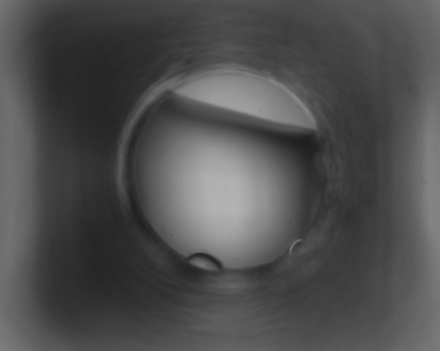 X0000101440104200807071035