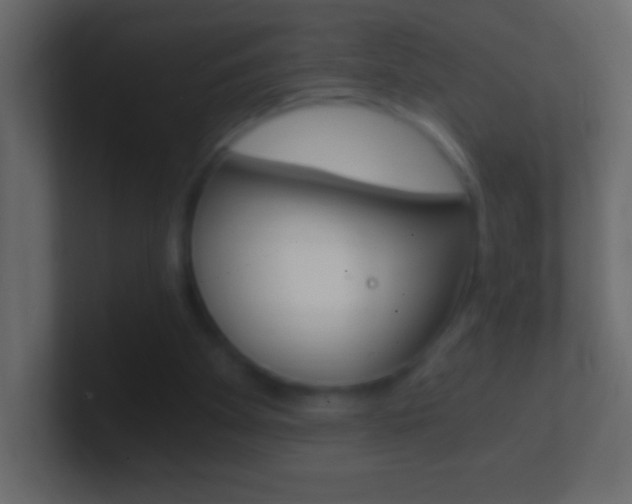 X0000101440105200807071035
