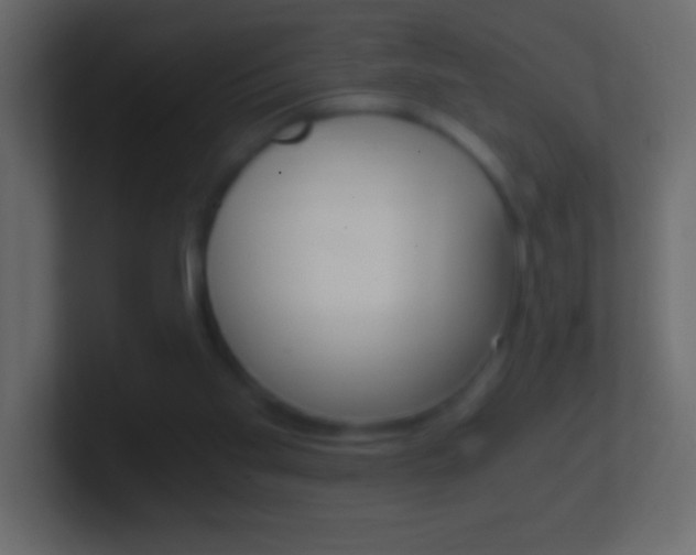 X0000101440109200807071035