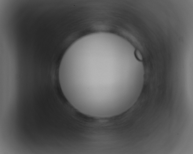X0000101440114200807071035