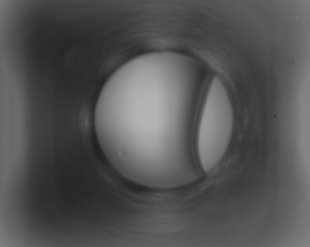 X0000101440115200807071035