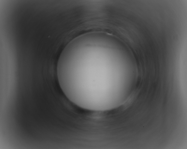 X0000101440136200807071035