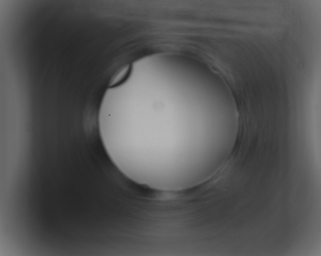X0000101440141200807071034