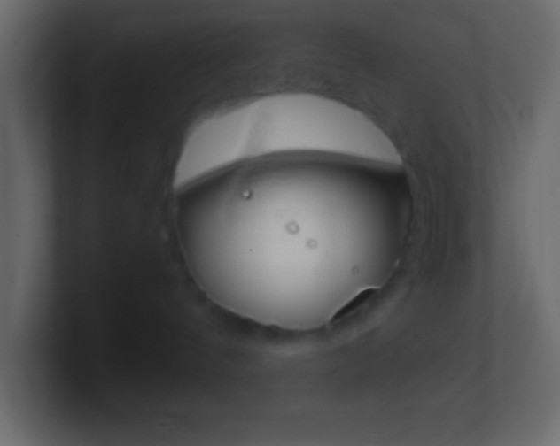 X0000101440144200807071034