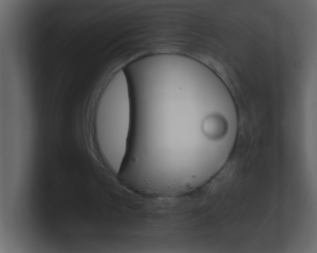X0000101440145200807071034