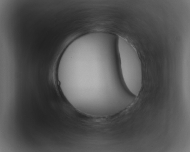 X0000101440147200807071034