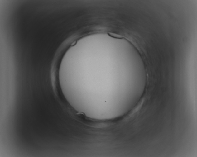 X0000101440149200807071034