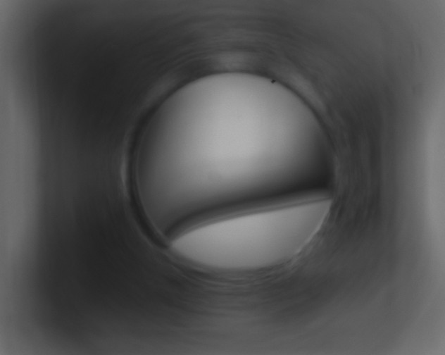 X0000101440154200807071034