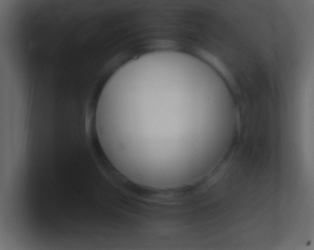 X0000101440157200807071034