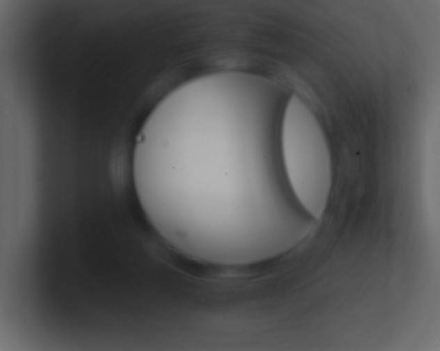 X0000101440163200807071034