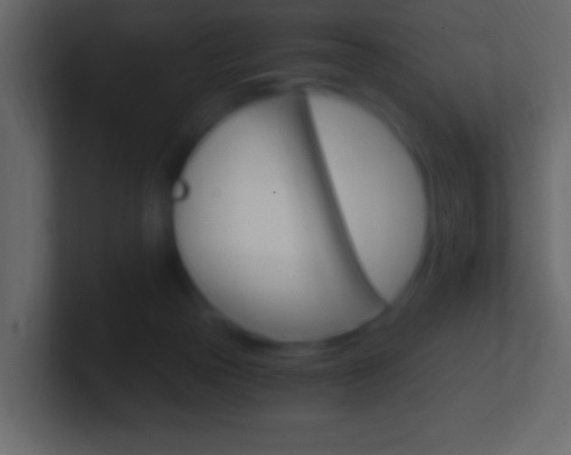 X0000101440169200807071034