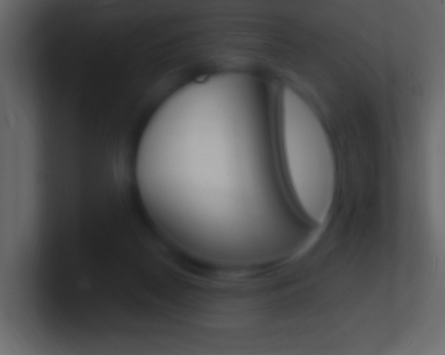 X0000101440170200807071034