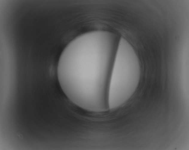 X0000101440177200807071034
