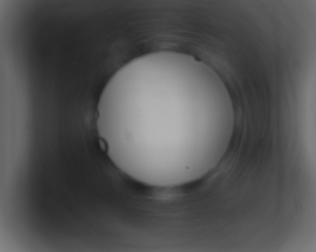 X0000101440181200807071034