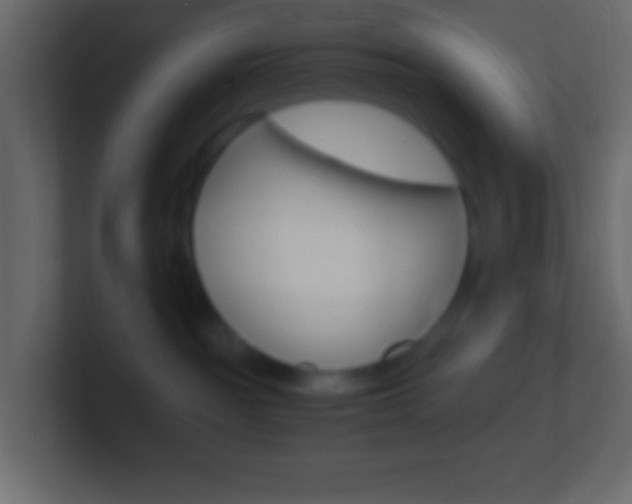 X0000101440189200807071034