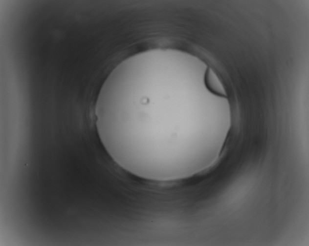 X0000101440191200807071034