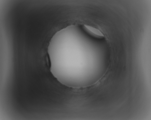X0000101440192200807071034