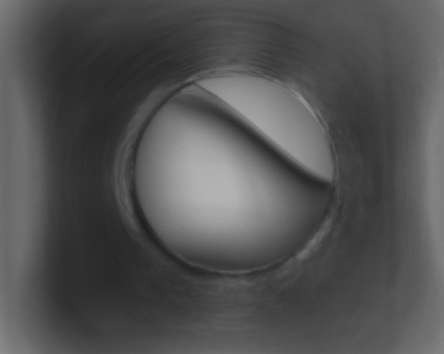 X0000101440193200807071034