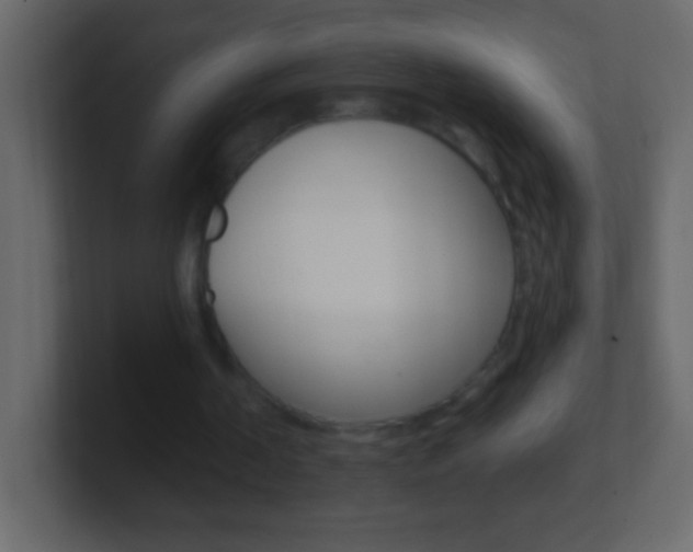 X0000101440194200807071034