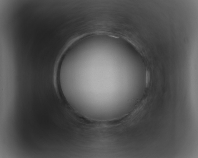 X0000101440195200807071034