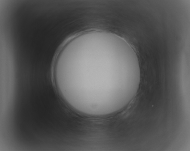 X0000101440196200807071034