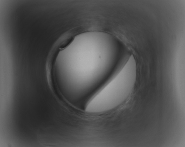 X0000101440197200807071034