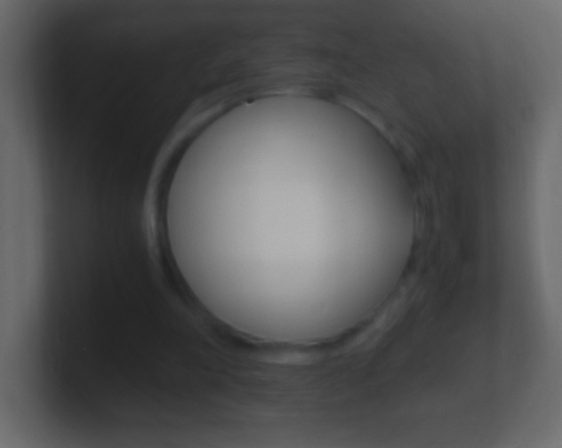 X0000101440198200807071034