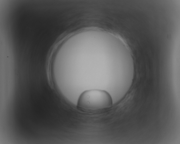X0000101440199200807071034