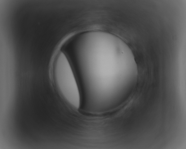 X0000101440200200807071034