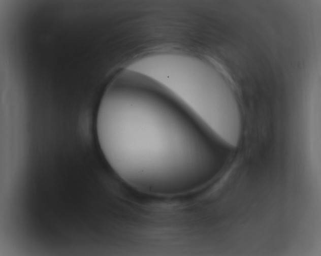 X0000101440201200807071034
