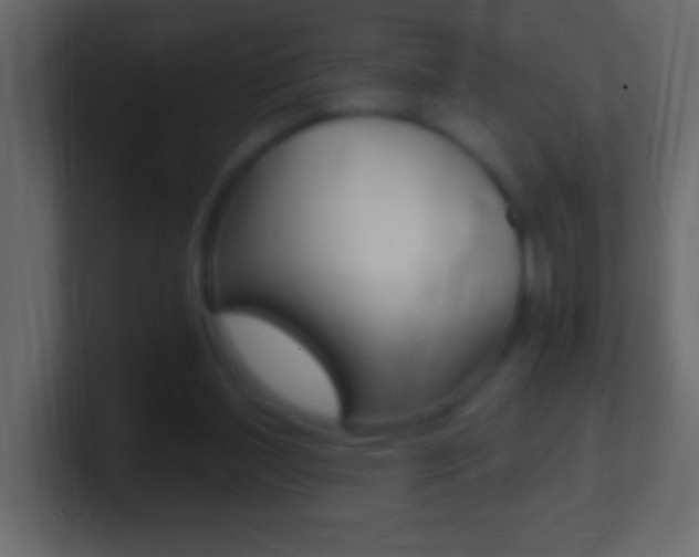 X0000101440204200807071034