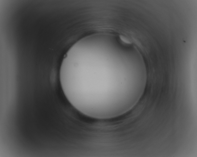 X0000101440211200807071034