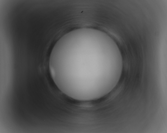 X0000101440214200807071033