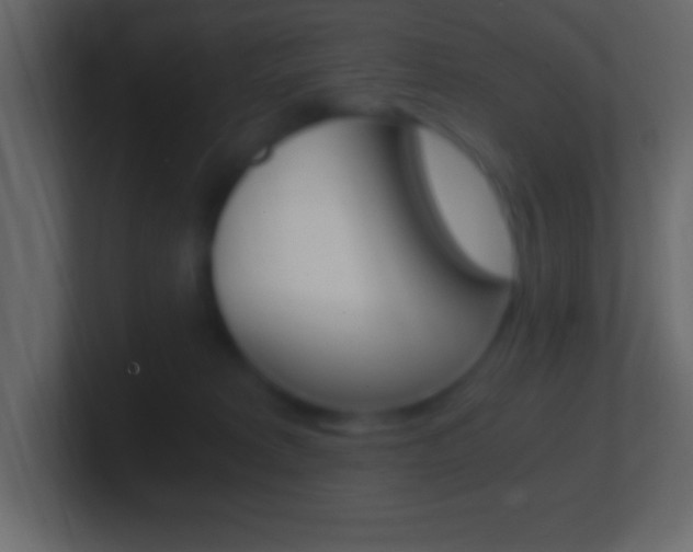 X0000101440229200807071033