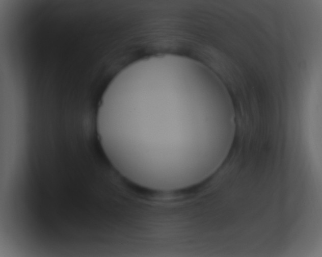 X0000101440231200807071033