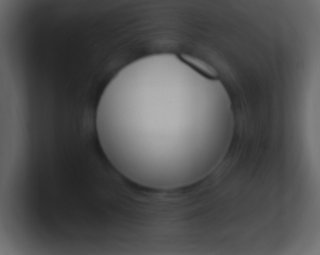X0000101440232200807071033