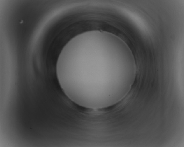 X0000101440239200807071033