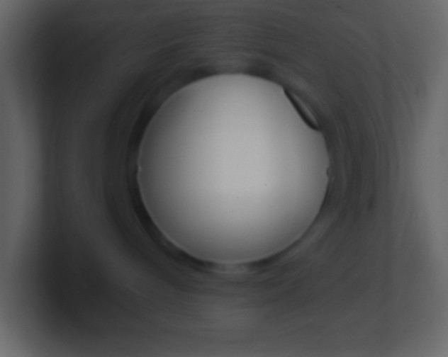 X0000101440240200807071033