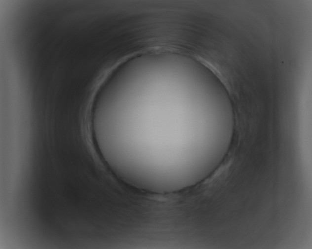 X0000101440241200807071033