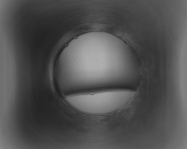 X0000101440242200807071033