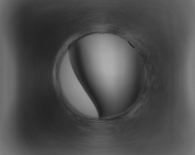 X0000101440244200807071033