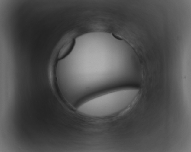 X0000101440245200807071033