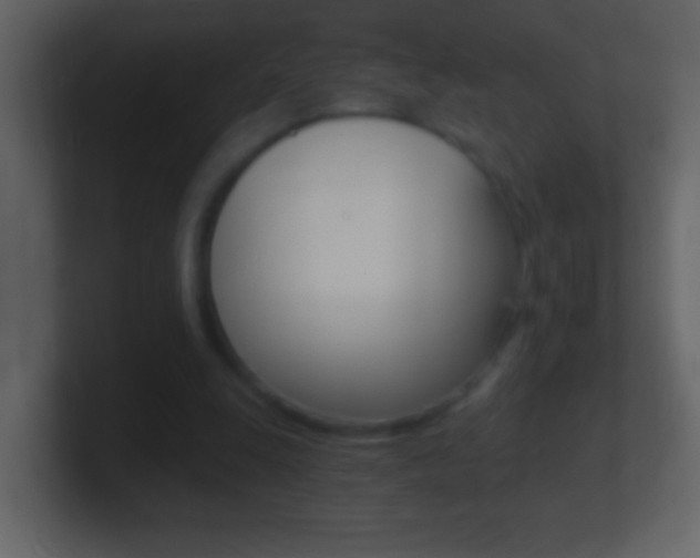X0000101440247200807071033