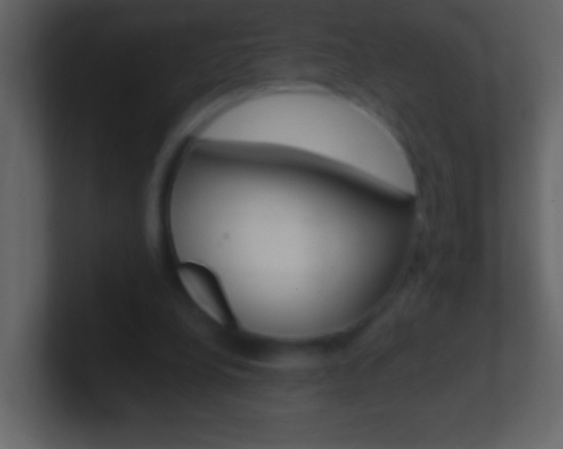 X0000101440248200807071033